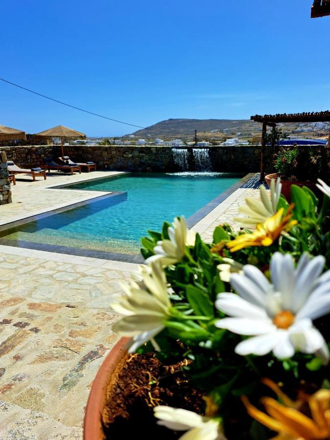 Apartment Mykonian Art Homes - Casa Di Giorgio *